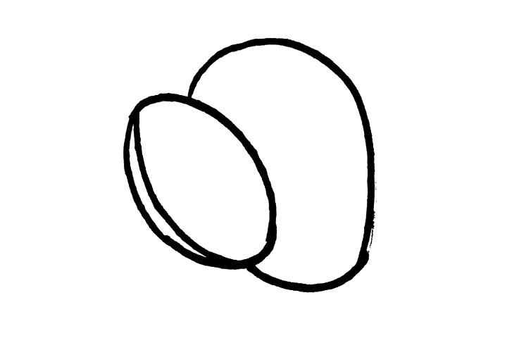 步骤3：在切开一半的猕猴桃后面，还可以再画上一个椭圆形，是另一个猕猴桃!