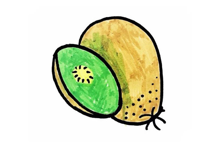 猕猴桃简笔画画法步骤