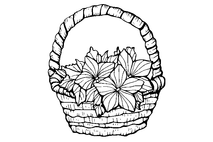 漂亮的花篮填色画-图3