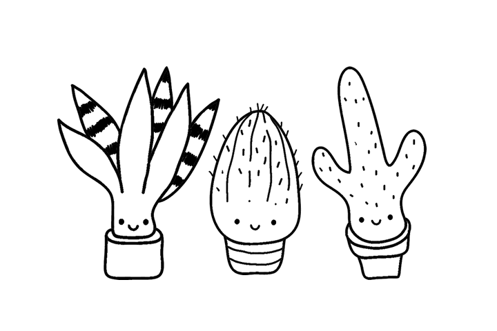 仙人掌盆栽简笔画图片-图6