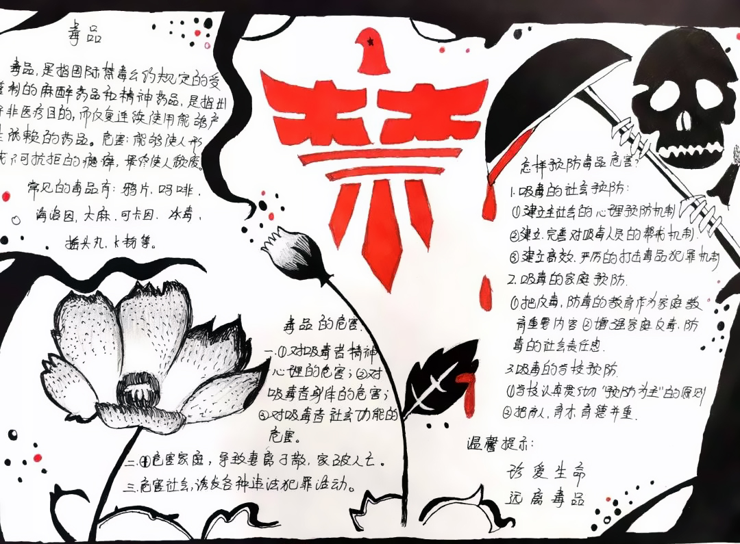 “禁毒宣传日,全民在行动”主题手抄报-图3