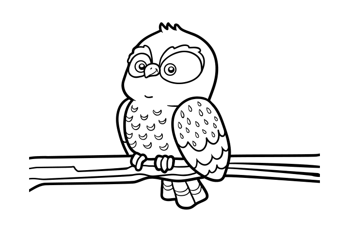 猫头鹰简笔画的画法-图7