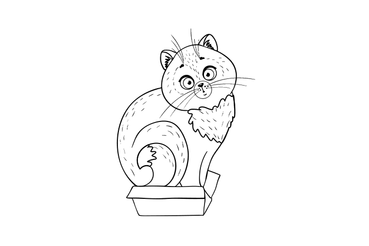 各种猫咪的画法-图1