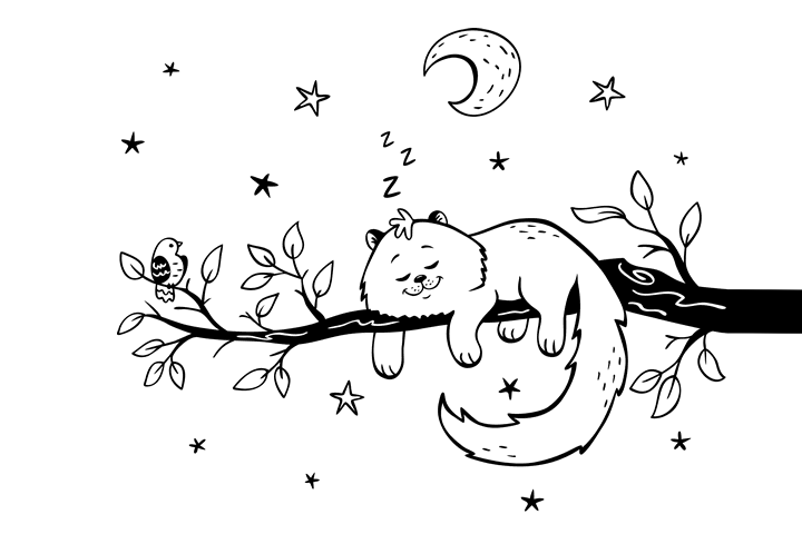 各种猫咪的画法-图3