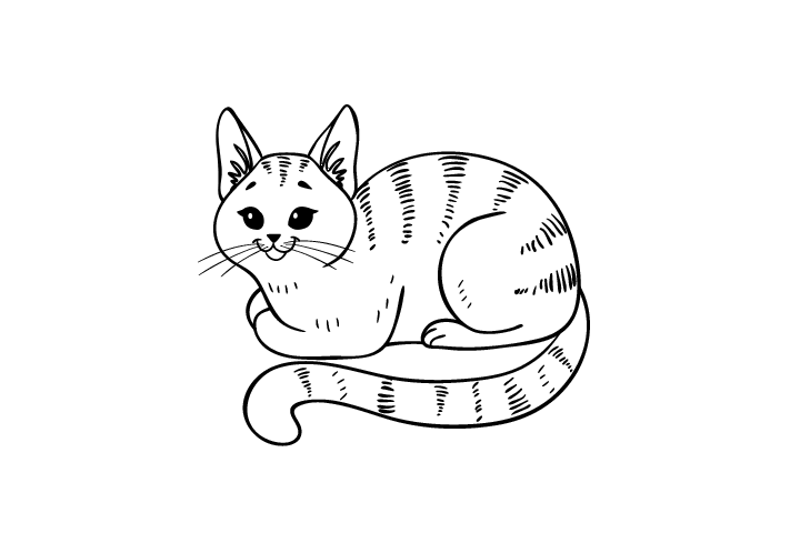 各种猫咪的画法-图10