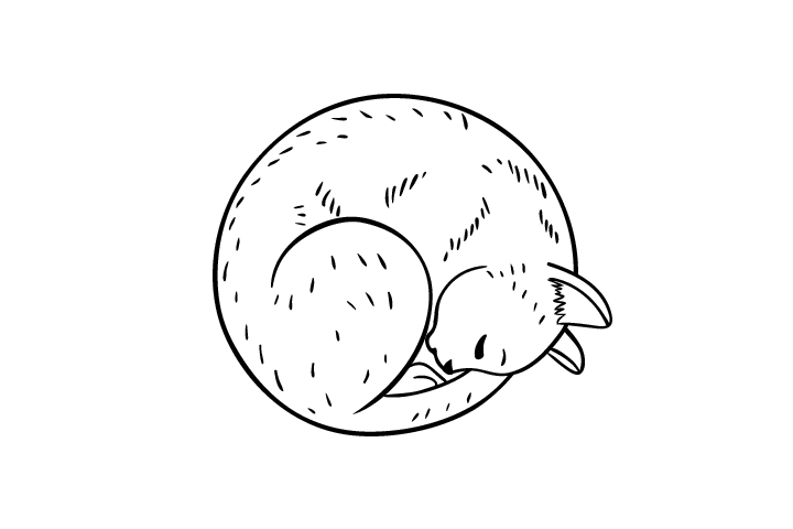 各种猫咪的画法-图11