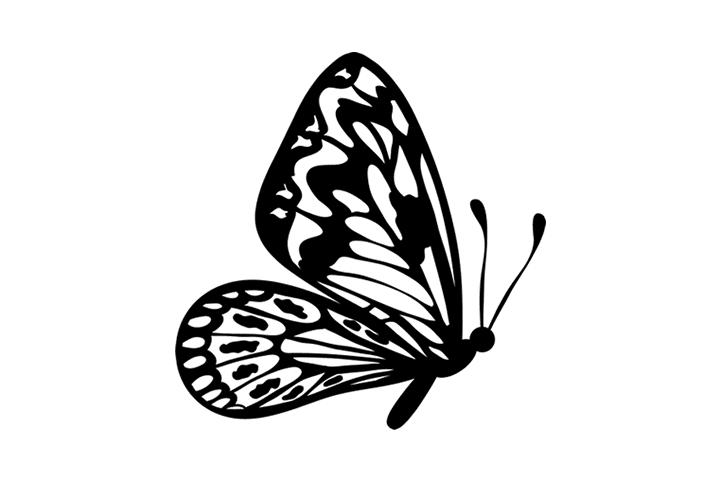 各种蝴蝶的画法-图5