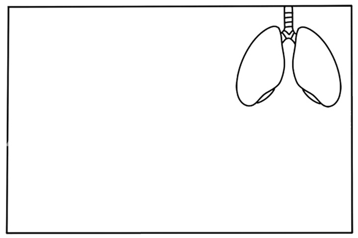 步骤1：首先在右上方画出一个人的肺部轮廓图。