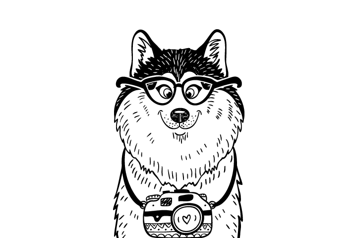 哈士奇简笔画的画法-图1