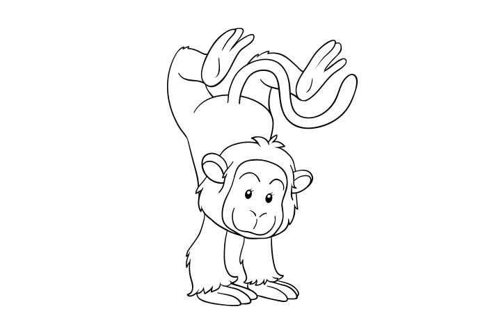 猴子的画法-图7