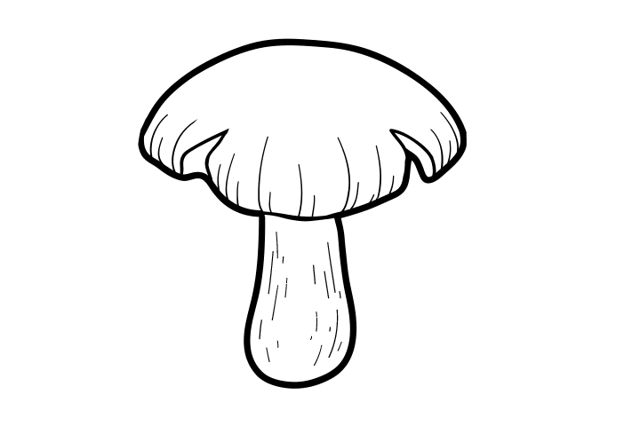 各种蘑菇的画法-图2
