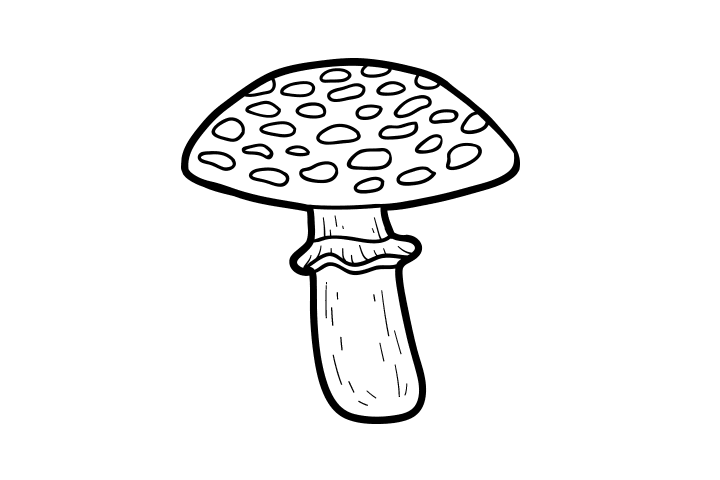 各种蘑菇的画法-图4