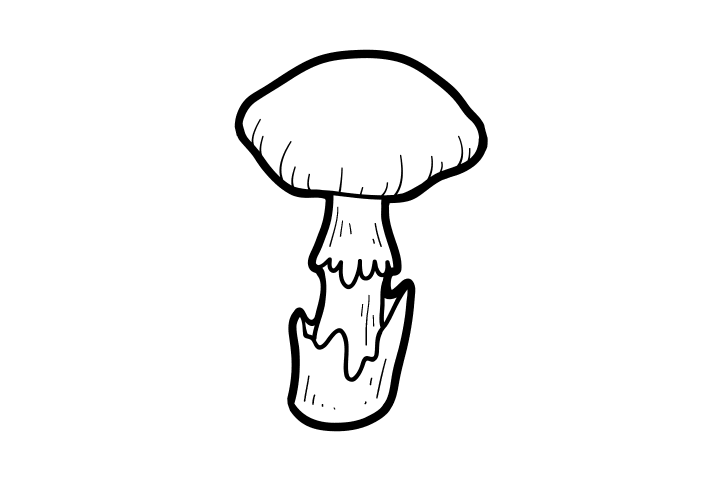 各种蘑菇的画法-图5