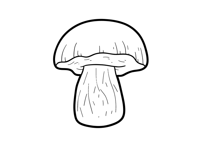 各种蘑菇的画法-图6