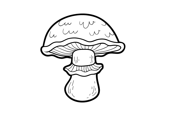 各种蘑菇的画法-图8