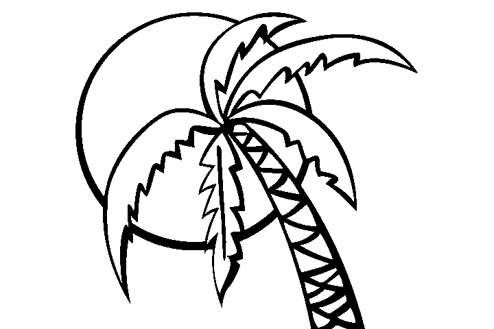 热带棕榈树简笔画图片-图4