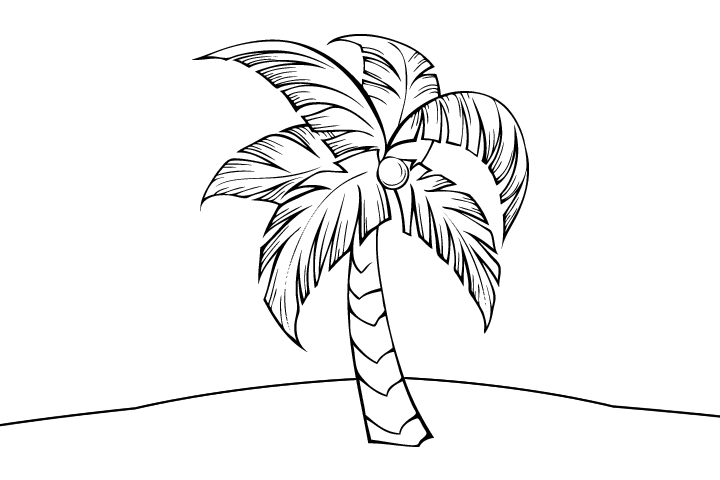 热带棕榈树简笔画图片-图5