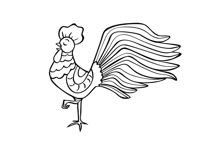 各种鸡的简笔画图片-图9