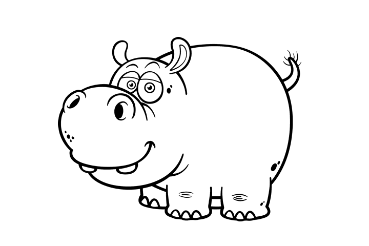 河马的画法-图3