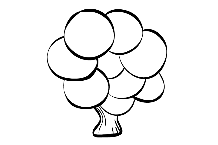 大树的简单画法-图1