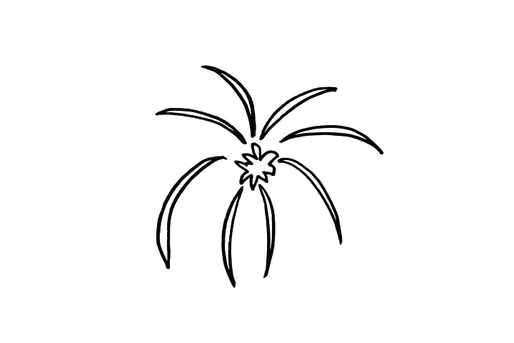 步骤2：接着在中心点的周围画上一些散开的线条，注意线条的弧度一定要画出来，这样才好看。