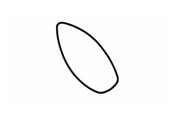 步骤1：竖画椭圆一头尖。