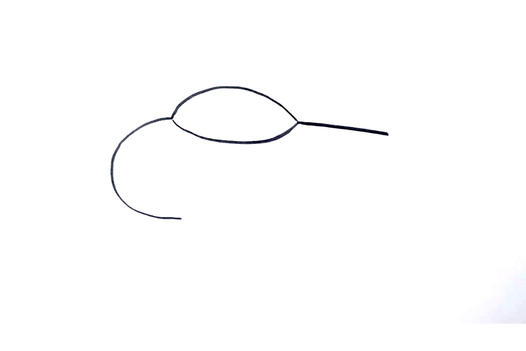 步骤2：然后我们接着画出飞机的机舱，机舱大小根据整体比例调整，不需要太大，但是后面我们会在里面画上飞行员。所以也要留出一定的空间。