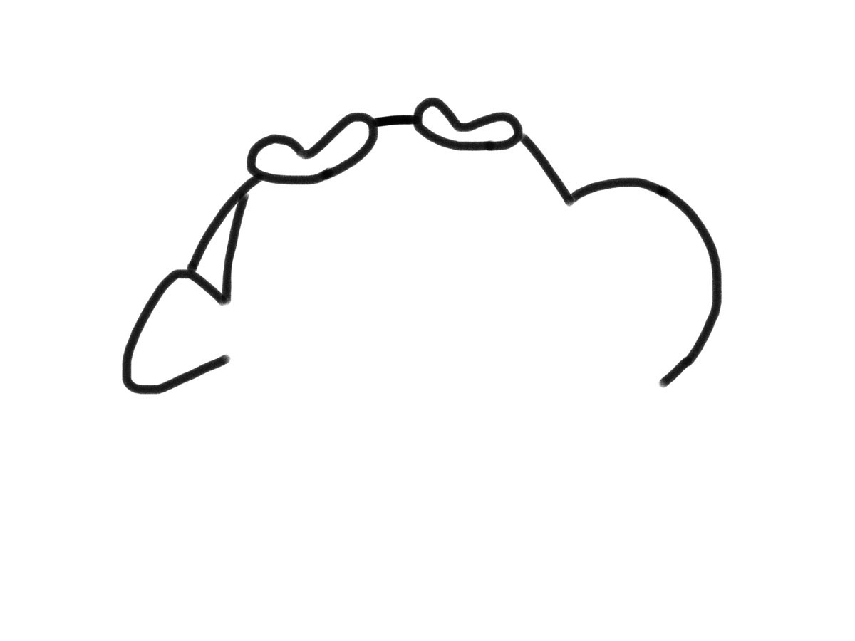 步骤2：接着画出头部轮廓。