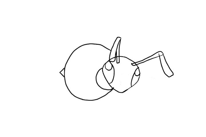 步骤4：画出大针蜂胖胖的身体和尾针轮廓。