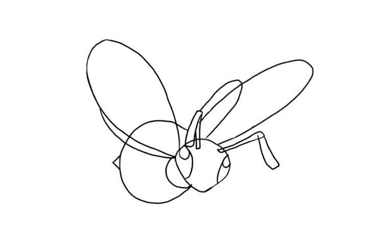 步骤5：给它画上大大的翅膀。