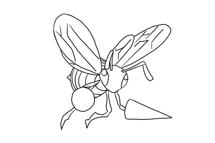 步骤8：接着是完善身体的花纹和翅膀的纹路细节。