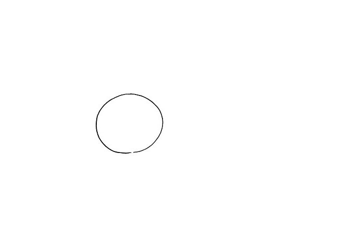 步骤1：首先画一个大大的圆形。