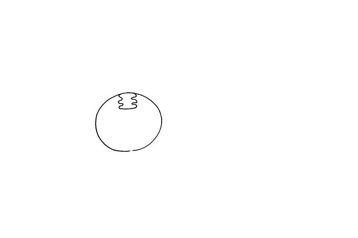 步骤2：在圆形的上方画出一个`王”字.这是一只小老虎。