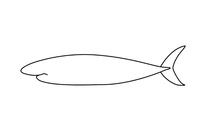 步骤2：接下来我们来画鱼的尾巴哦~ 远看有点像月亮，弯弯的。