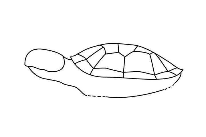 步骤4：再画海龟的头，这么一看有些像手指呢...