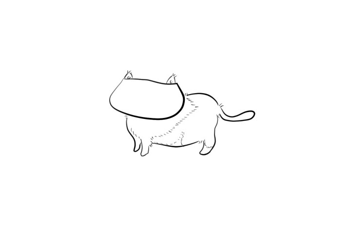 口罩猫简笔画画法步骤-图4