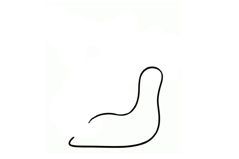 步骤1：首先画出蜗牛的身体轮廓线条。