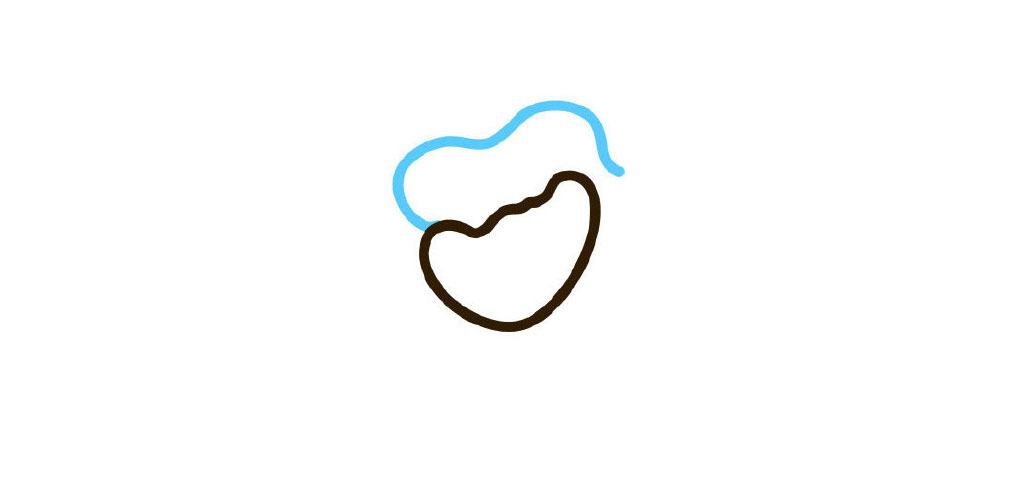 步骤2：画后边的花瓣。