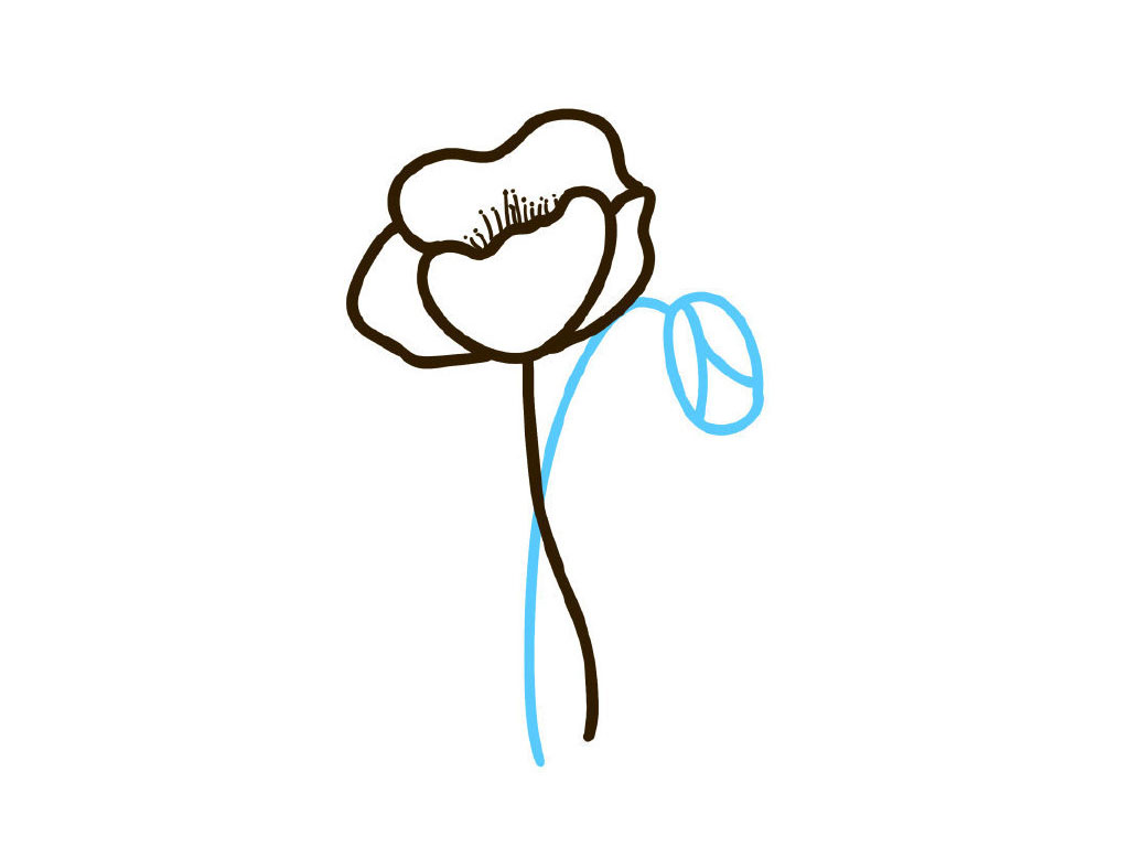 步骤5：画个虞美人画骨朵。