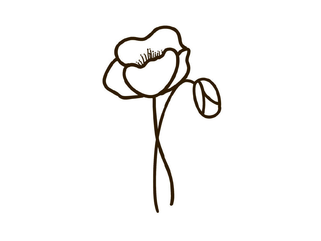 步骤6：准备上色。