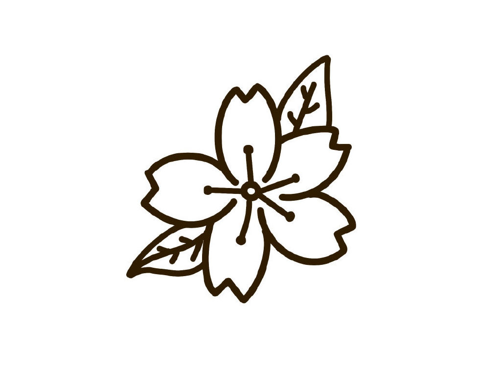 步骤6：线稿完成了。