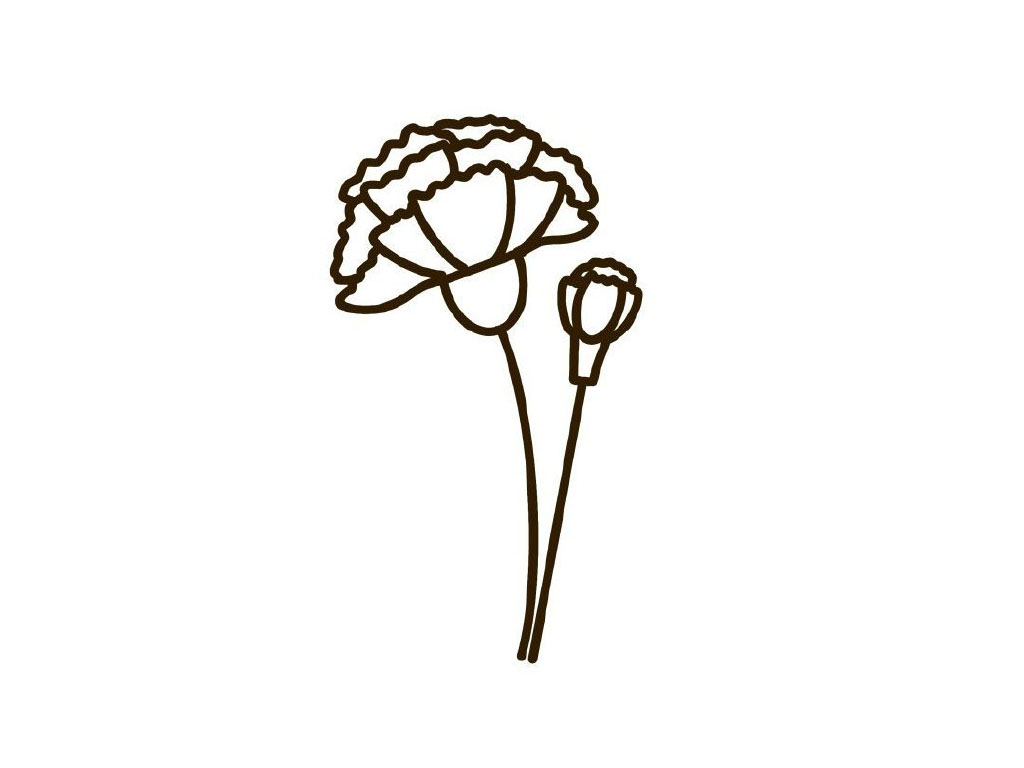 步骤6：线稿完成了。