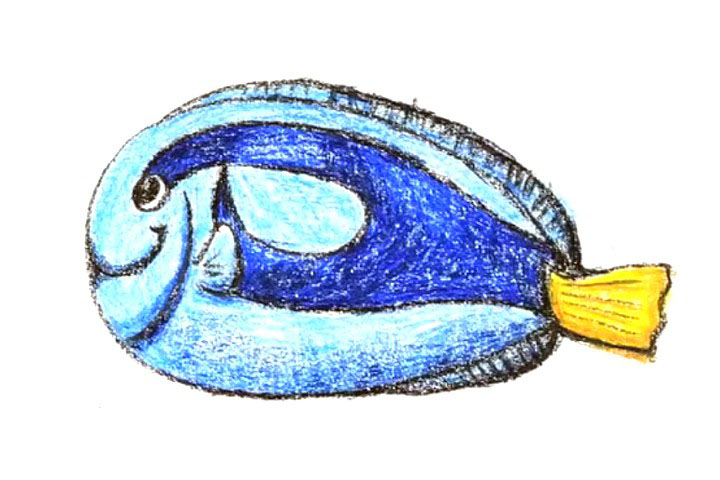 黄尾副刺尾鱼简笔画教程