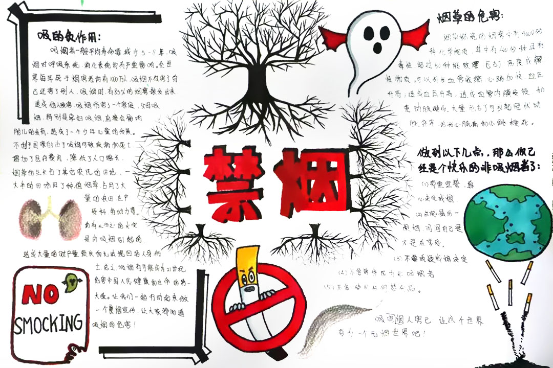 5.31世界无烟日手抄报图片-图5