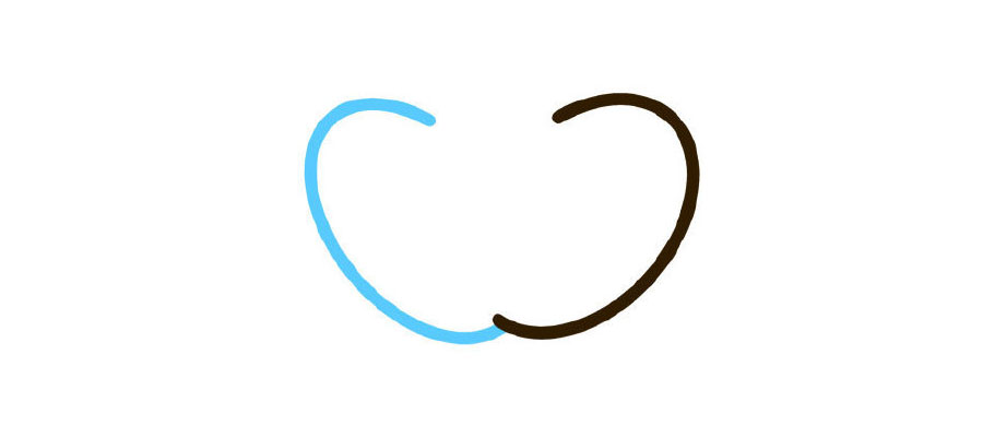 步骤2：画左边花瓣。