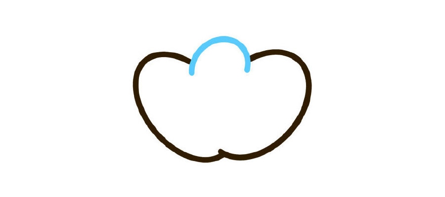 步骤3：画中间花瓣。