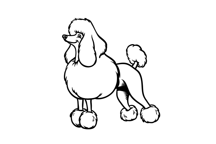 各种宠物狗狗的画法-图5