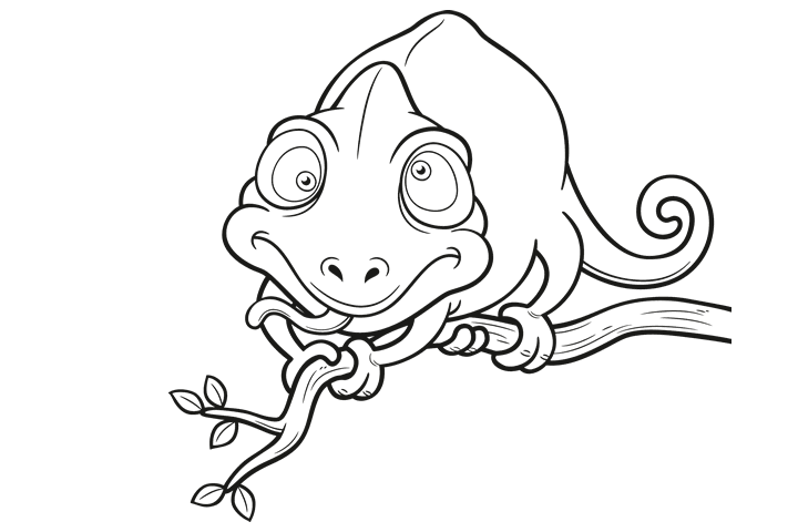 步骤6：野生动物