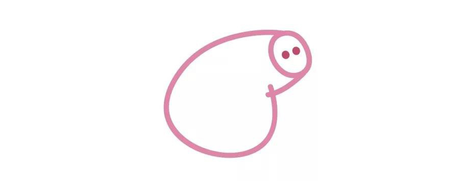 步骤2：画佩奇的头部