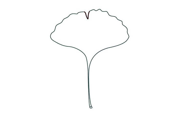 步骤1：我们先画叶子分叉部分，一个V形。